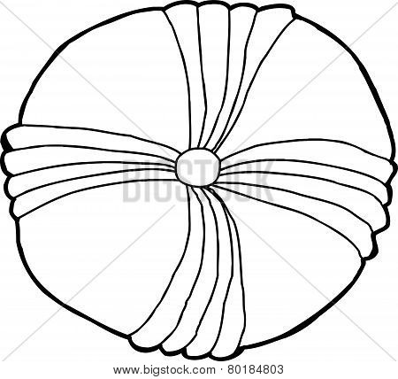 Echinoderm Fossil Outline