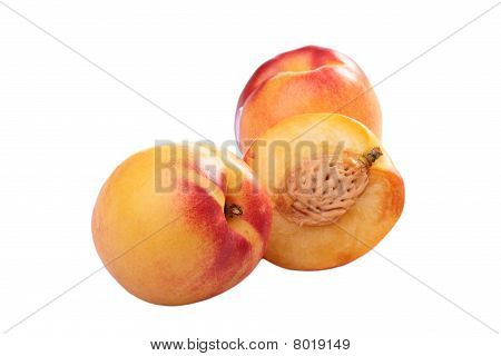 Nectarina