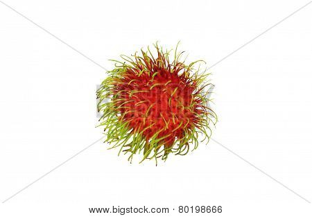 Thai Rambutan