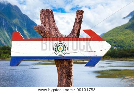 Paraguay Flag wooden sign with mountains background