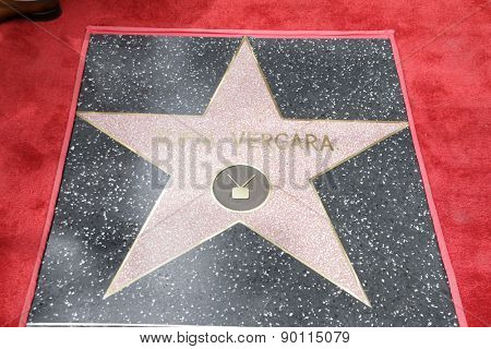 LOS ANGELES - MAY 7:  Sofia Vergara's Star at the Sofia Vergara Hollywood Walk of Fame Ceremony at the Hollywood Blvd on May 7, 2015 in Los Angeles, CA
