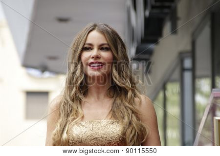 LOS ANGELES - MAY 7:  Sofia Vergara at the Sofia Vergara Hollywood Walk of Fame Ceremony at the Hollywood Blvd on May 7, 2015 in Los Angeles, CA