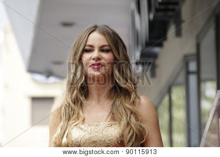 LOS ANGELES - MAY 7:  Sofia Vergara at the Sofia Vergara Hollywood Walk of Fame Ceremony at the Hollywood Blvd on May 7, 2015 in Los Angeles, CA