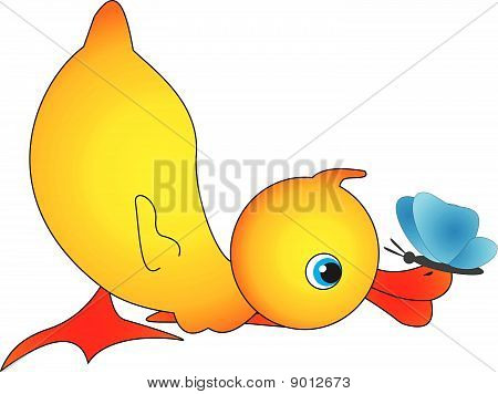 Duck vector