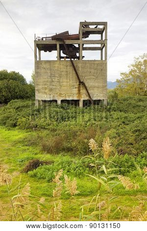 Old Abandoned Concrete Structure Overtaken By Nature