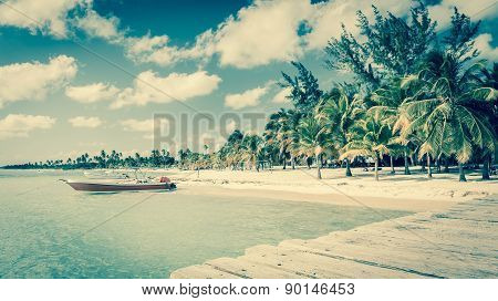 Caribbean Beach In Dominican Republic