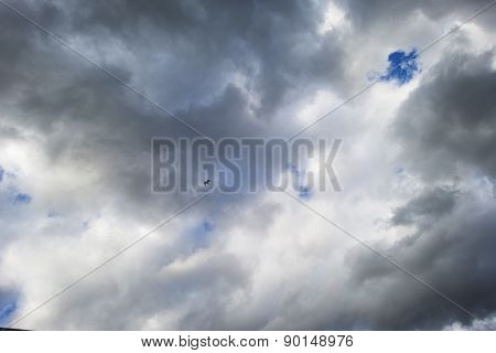 Bird flying into deteriorating weather in spring