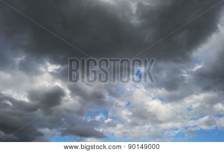 Bird flying into deteriorating weather in spring