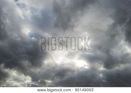 Bird flying into deteriorating weather in spring