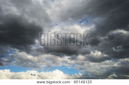 Bird flying into deteriorating weather in spring
