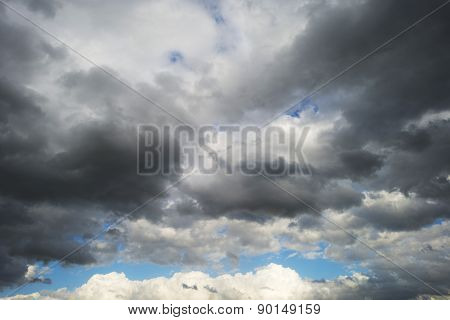 Bird flying into deteriorating weather in spring