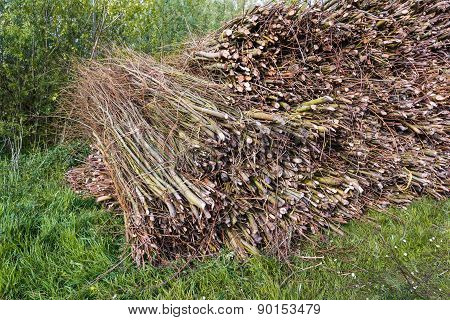 Closeup Of Tied Osiers On A Large Heap
