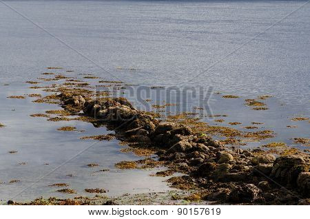 Old Pier