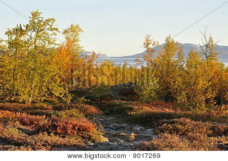Paesaggio d'autunno