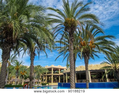 Riu Santa Fe Hotel At Cabo San Lucas, Mexico
