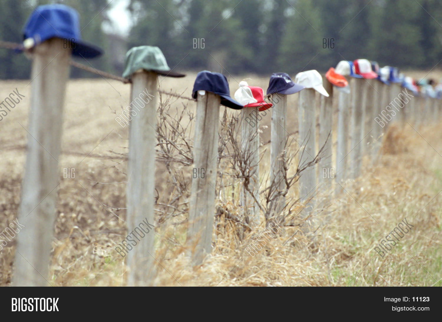 Caps On Fence Posts Image & Photo (Free Trial) Bigstock