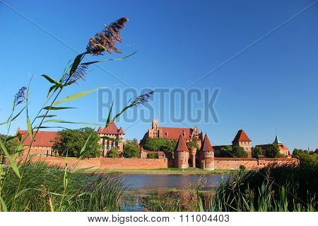Picturesque scene of Malbork castle on Nogat river in Poland