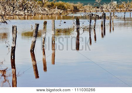 Post Perspective: Lake Coogee,Western Australia