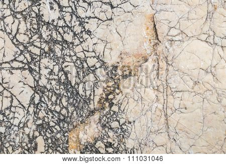 Closeup Surface Of Big Rock For Decoration In The Garden Texture Background