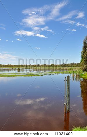 Beelier Wetlands: Water Level Measurement