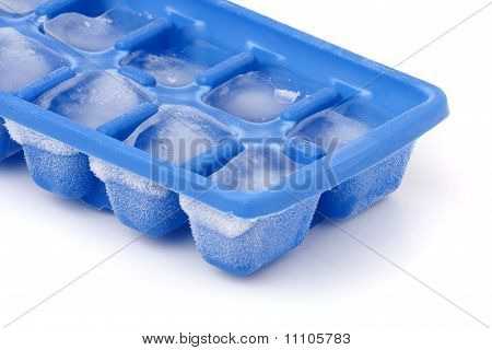 Mrożone Ice Cube zasobnika