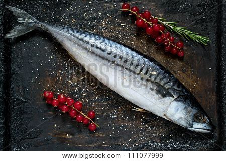 Mackerel With Red Currants And Spices