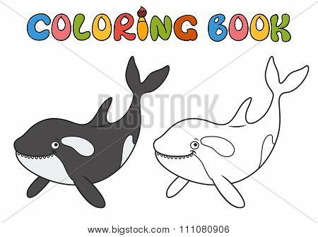 Killer Whale