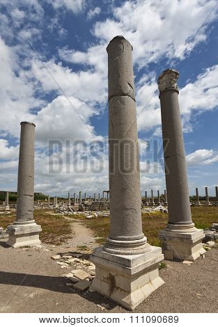 Columns At Perga In Turkey