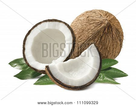 Coconut Composition Leaves Isolated On White Background