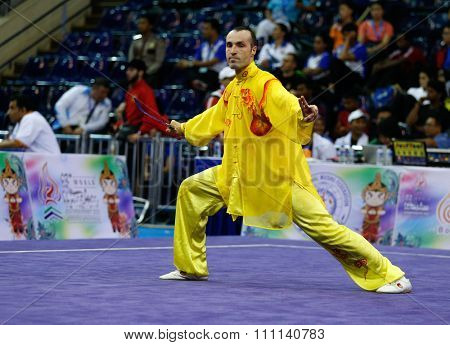 JAKARTA, INDONESIA - NOVEMBER 16, 2015: Ezequiel Troitino of Spain performs the movements in the men's Taijijian event at the 13th World Wushu Championship 2015 at the Istora Senayan Stadium.