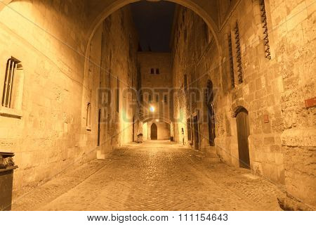 Narbonne (france)