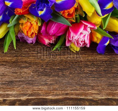spring tulips and irises