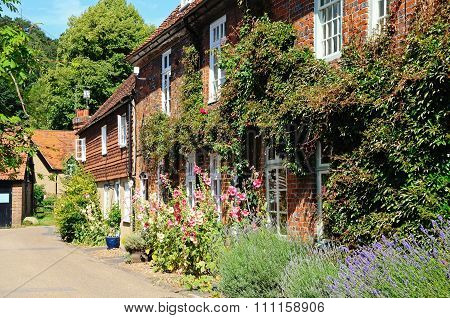 Pretty cottages, Hambledon.