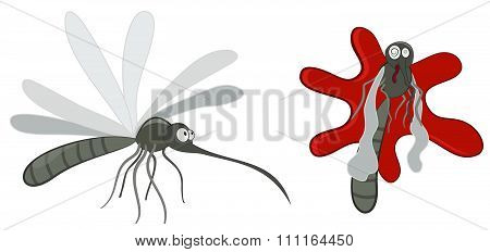 Mosquito