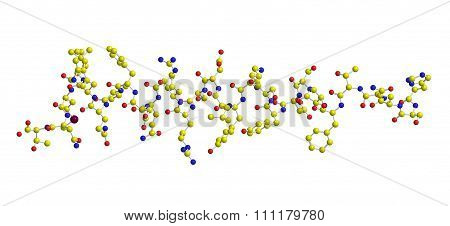 Molecular Structure Of Glucagon