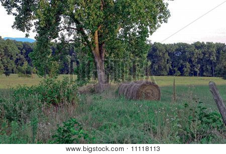 Hay rolls in country field