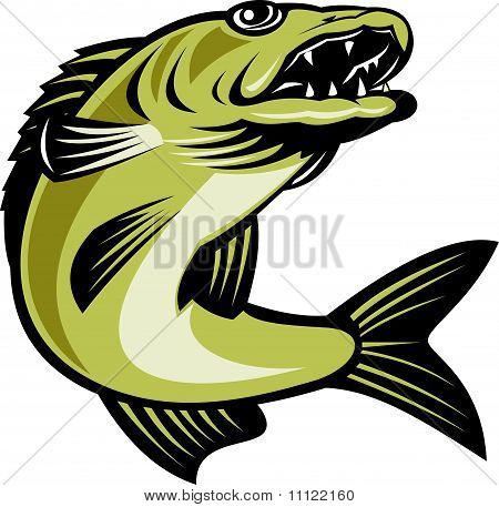 sandart fisk hoppe