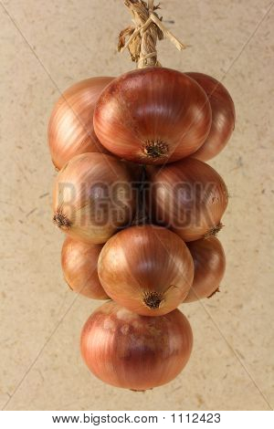Treccia di cipolle su uno sfondo di carta bianca