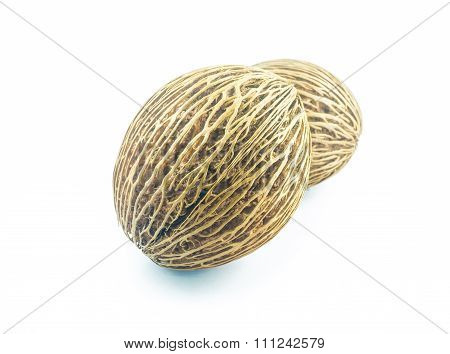Cerbera Oddloam's Seed, Pong Pong Seed Or Othalanga On White Background