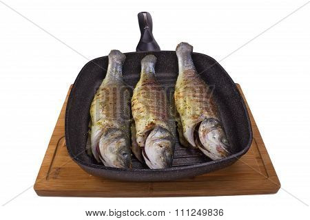 Sea Bass