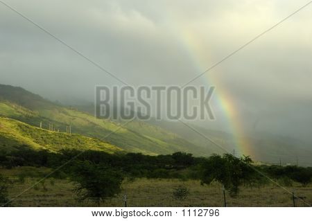 Tropické Rainbow