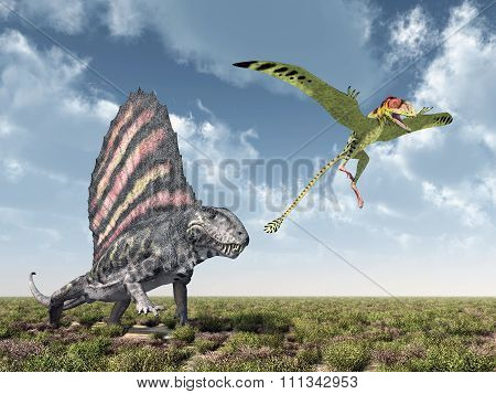 Dimetrodon attacks Peteinosaurus
