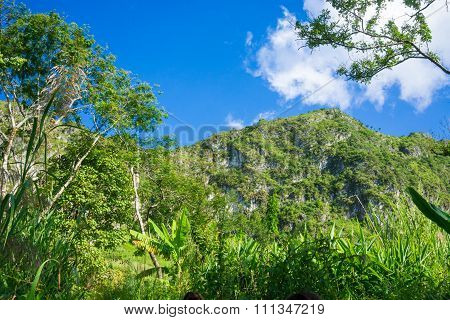 High Semi Alpine Mountain With Blue  Sky