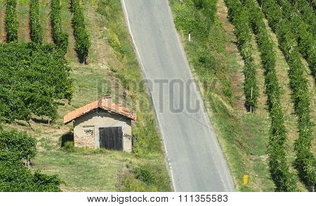 Vineyards In Oltrepo Pavese (italy)