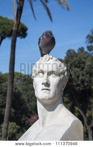 Statue And A Pigeon