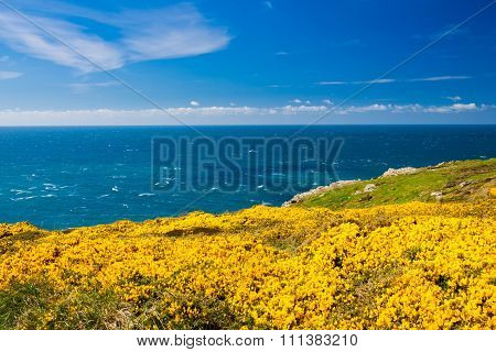 Pendeen Watch Cornwall England