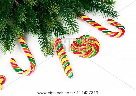 Christmas tree branches