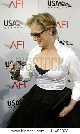 10 June 2004 - Hollywood, USA - Meryl Streep. 32nd AFI Life Achievement Award: A Tribute to Meryl Streep at the Kodak Theatre, Hollywood & Highland.