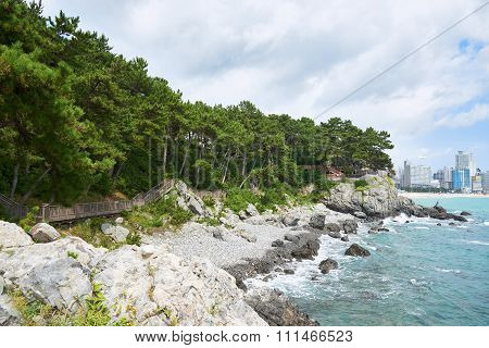 Pathway Along The Coast Of Dongbaek Island.
