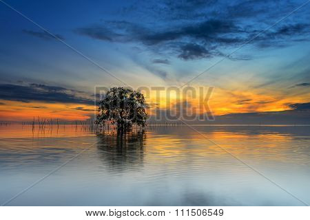 Beautiful sunrise above the sea